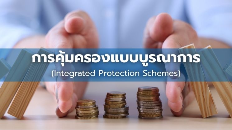 การคุ้มครองแบบบูรณาการ (Integrated Protection Schemes)