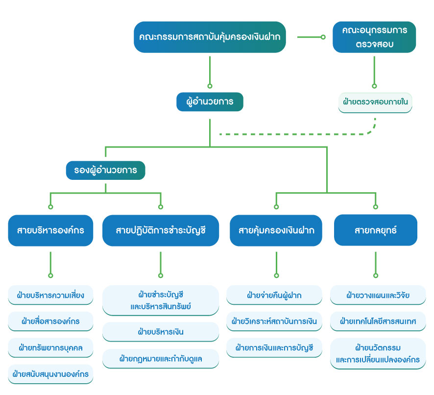 โครงสร้างองค์กร